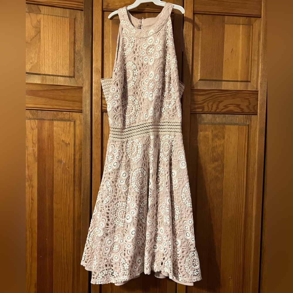 City Triangles light pink lace dress with mesh stomach and underarms